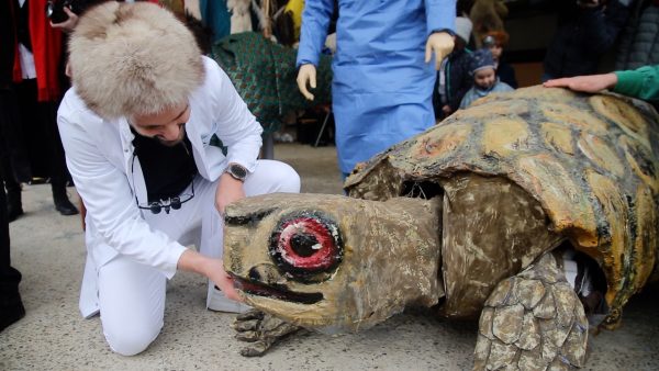 Tiere sind fit für die Fasnacht Tiere sind fit für die Fasnacht