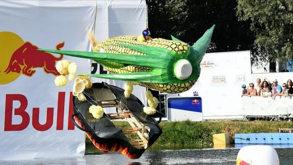 Flug-Maister im Sturzflug Flug-Maister im Sturzflug